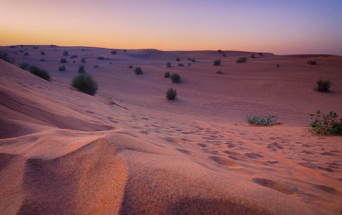 Golden desert sand dunes stretching to the horizon at twilight